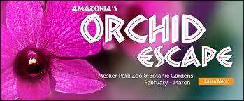 Graphic for Amazonia's Orchid Escape, February through March 2011 in Evansville, Ind.