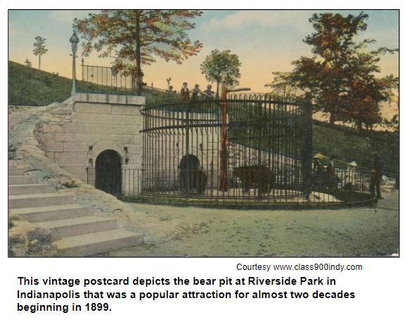 This vintage postcard depicts the bear pit at Riverside Park in Indianapolis that was a popular attraction for almost two decades beginning in 1899.
