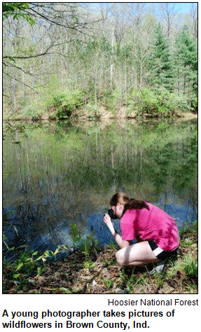 A young photographer takes pictures of wildflowers in Brown County, Ind.