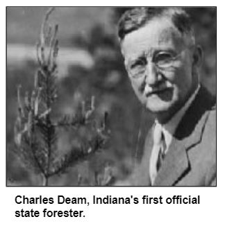 Charles Deam, Indiana's first official state forester.