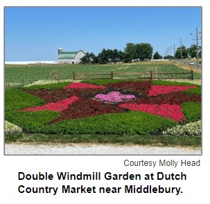 Double Windmill Garden