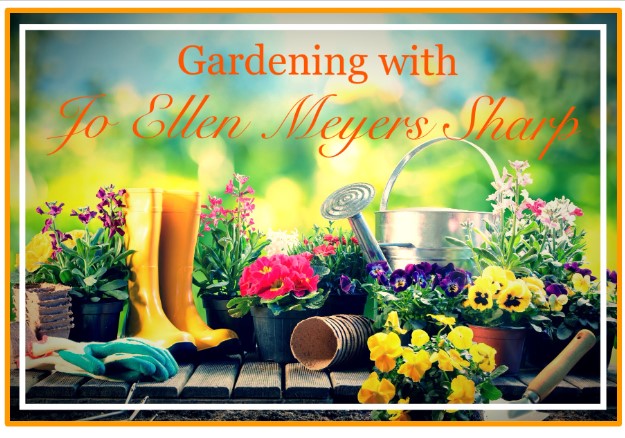 Gardening Banner