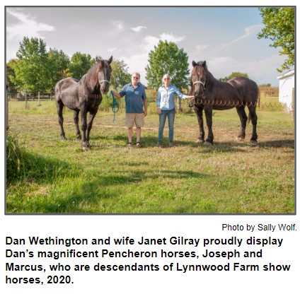 Lynnwood Farm Horses
