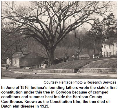 In June of 1816, Indiana’s founding fathers wrote the state’s first constitution under this tree in Corydon because of cramped conditions and summer heat inside the Harrison County Courthouse. Known as the Constitution Elm, the tree died of Dutch elm disease in 1925. Image courtesy Heritage Photo & Research Services.