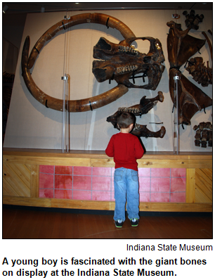 A young boy is fascinated with the giant bones on display at the Indiana State Museum. Image courtesy Indiana State Museum.