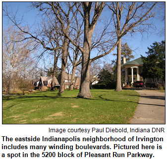 The eastside Indianapolis neighborhood of Irvington includes many winding boulevards. Pictured here is a spot in the 5200 block of Pleasant Run Parkway. Image courtesy Paul Diebold, Indiana DNR.