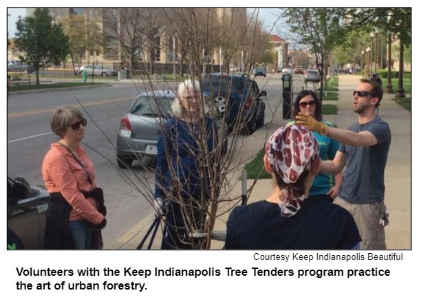 Volunteers with the Keep Indianapolis Tree Tenders program practice the art of urban forestry. Courtesy Keep Indianapolis Beautiful.
