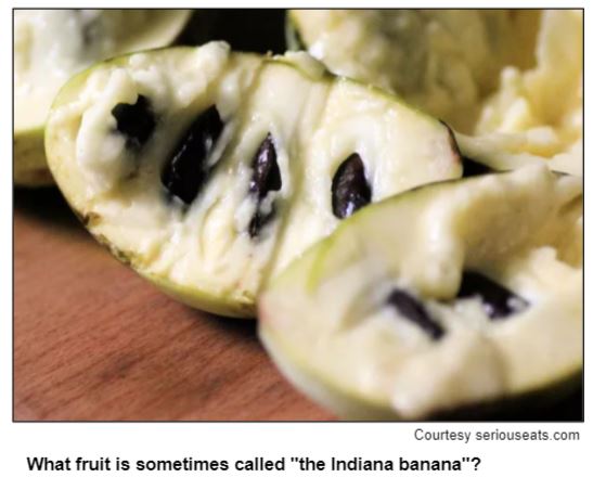 What fruit is sometimes called "the Indiana banana"? Courtesy seriouseats.com