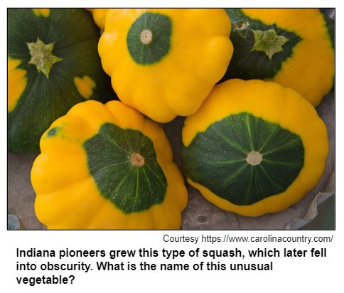 Indiana pioneers grew this type of squash, which later fell into obscurity. What is the name of this unusual vegetable? Courtesy https://www.carolinacountry.com/
