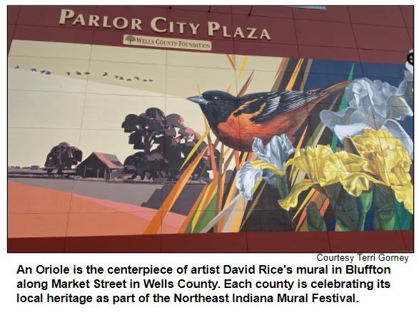 An Oriole is the centerpiece of artist David Rice's mural in Bluffton along Market Street in Wells County. Each county is celebrating its local heritage as part of the Northeast Indiana Mural Festival. Courtesy Terri Gorney.