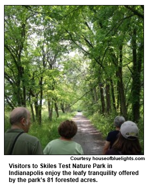 Visitors to Skiles Test Nature Park in Indianapolis enjoy the leafy tranquility offered by the park’s 81 forested acres.   
Courtesy houseofbluelights.com