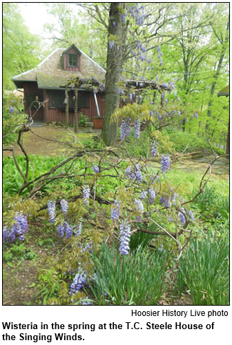Wisteria appear in the spring at the T.C. Steele House of the Singing Winds. Hoosier History Live photo.