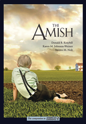The Amish book cover.
