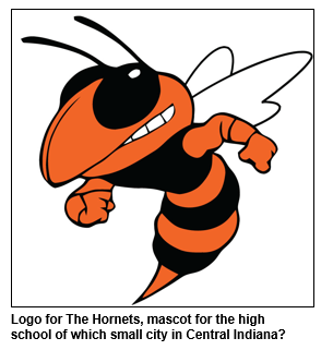 Logo for The Hornets, mascot for the high school of which small city in Central Indiana?

