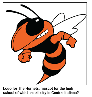 Logo for The Hornets, mascot for the high school of which small city in Central Indiana?
