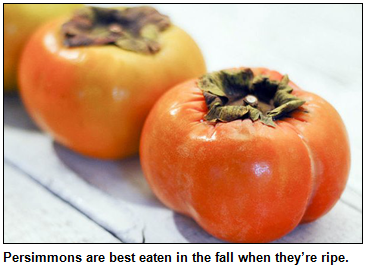 Persimmons are best eatin in the fall when they are ripe.
