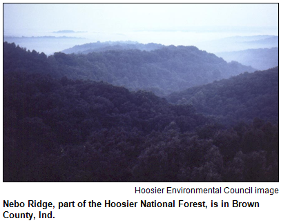 Nebo Ridge, part of the Hoosier National Forest, is in Brown County, Ind. Image courtesy Hoosier Environmental Council.