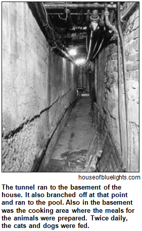 Tunnel leading to the basement at the House of Blue Lights in Indianapolis. Image courtesy houseofbluelights.com.