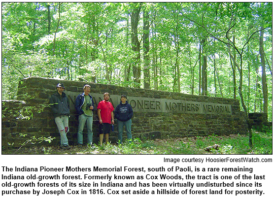 Image shows four visitors standing in front of a stone-wall sign for the Indiana Pioneer Mothers Memorial Forest. Formerly known as Cox Woods, the tract is one of the last old-growth forests of its size in Indiana. It has been virtually undisturbed since its purchase by Joseph Cox in 1816. Cox set aside a hillside of forest land for posterity.