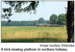 Bird-viewing platform in northern Indiana.