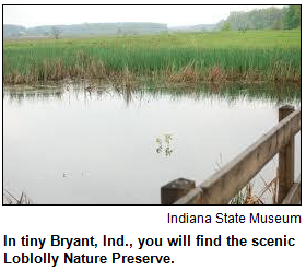 In tiny Bryant, Ind., you will find the scenic Loblolly Nature Preserve. Courtesy Indiana State Museum.