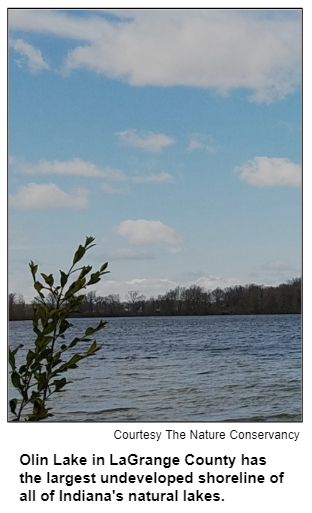 Olin Lake in LaGrange County has the largest undeveloped shoreline of all of Indiana's natural lakes. Courtesy The Nature Conservancy.