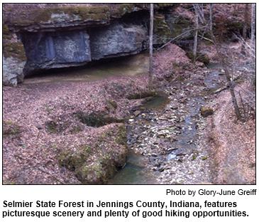 Selmier State Forest in Jennings County, Indiana, features picturesque scenery and plenty of good hiking opportunities. Photo by Glory-June Greiff.