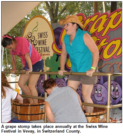 A grape stomp takes place annually at the Swiss Wine Festival in Vevay, in Switzerland County.