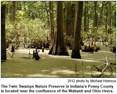 The Twin Swamps Nature Preserve in Indiana's Posey County is located near the confluence of the Wabash and Ohio rivers. 2012 photo by Michael Homoya.