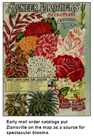 Early mail order catalogs put Zionsville on the map a source for spectacular blooms.