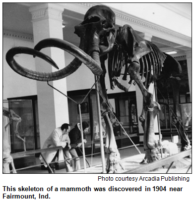This skeleton of a mammoth was discovered in 1904 near Fairmount, Ind. Photo courtesy Arcadia Publishing.