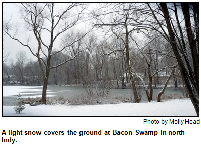 A light snow covers the ground at Bacon Swamp in north Indy. Photo by Molly Head.